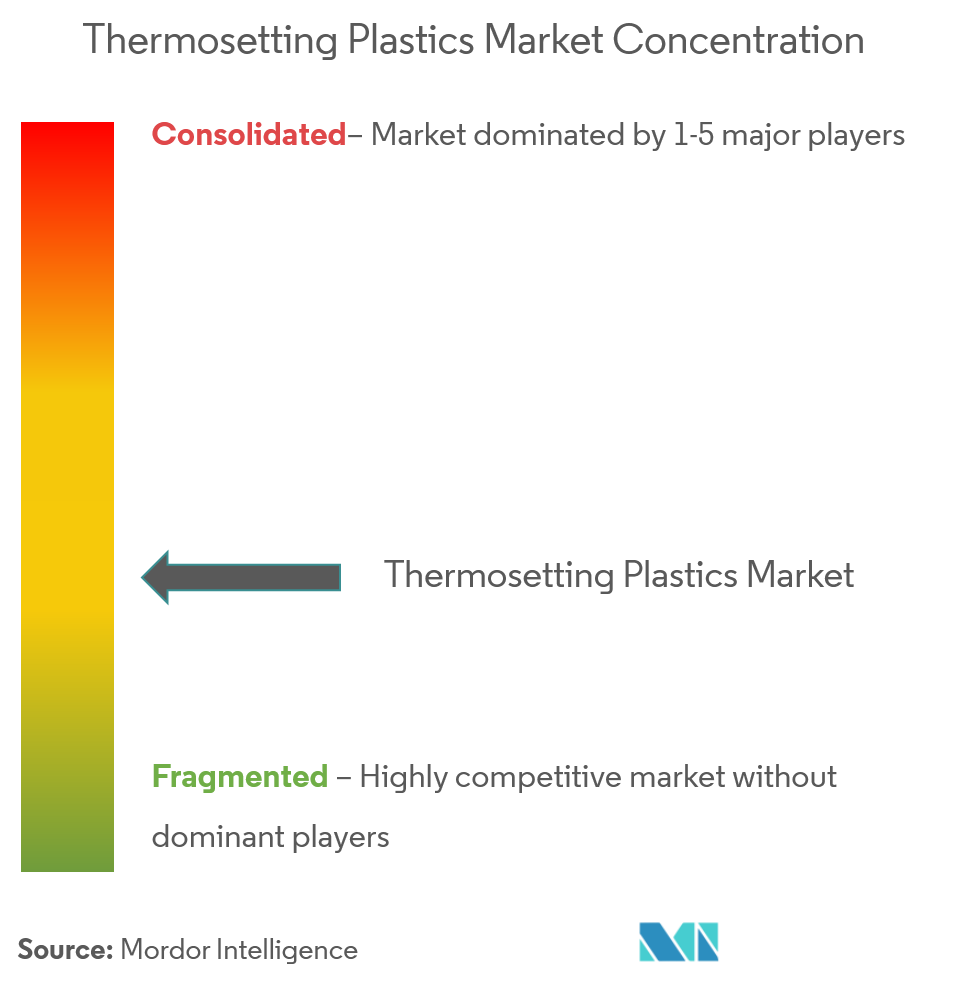 Thermosetting Plastics Market - Market Concentration